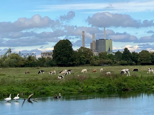 Illustration bilan qualité de l'air